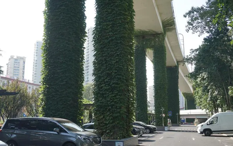 提升企业园林管理水平：加强对绿植疾病监测与预警机制的建设
