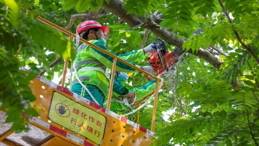 上海园区绿化工程改建项目