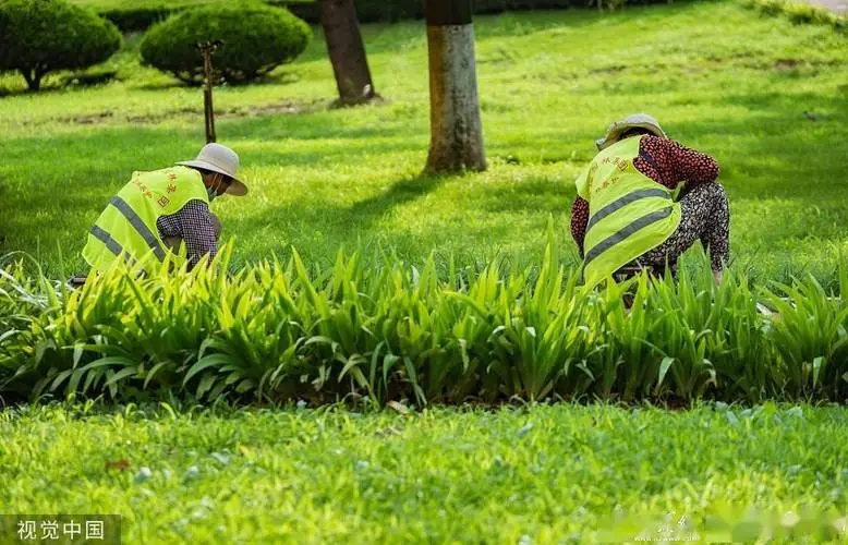 园林景观部