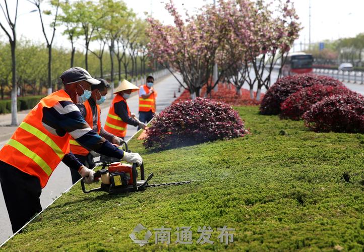 望京西园三区绿化工程